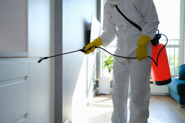 Professional Pest Control in Fordoche, LA